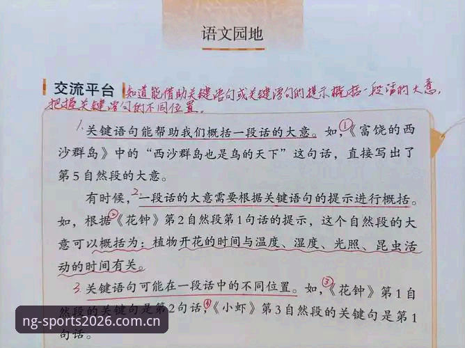 资深用户揭秘：NG体育官方网站2026新版带来的全新体验与实用心得